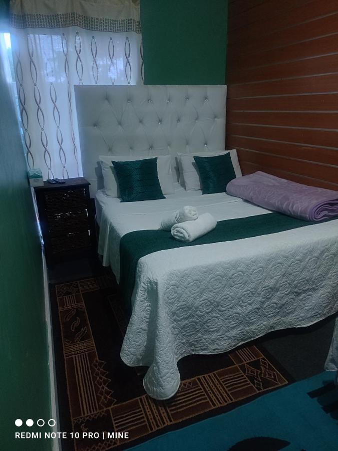 The Croc Guest House スプリングズ エクステリア 写真